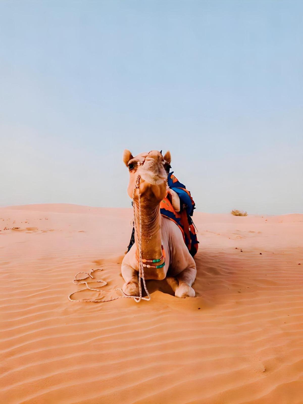 Jaisalmer Sand Dunes Luxury Camp And Resort Экстерьер фото
